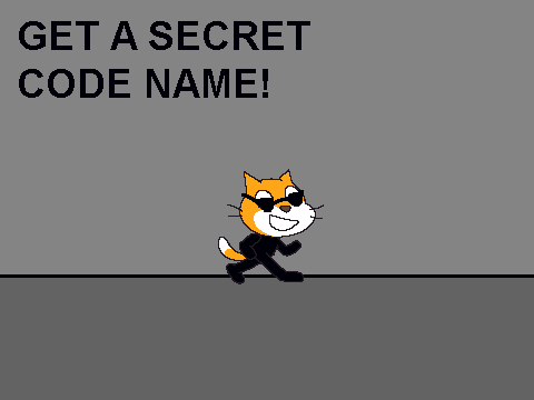 Get a secret code name!