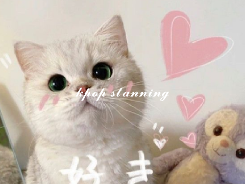 ♡ kpop stanning 