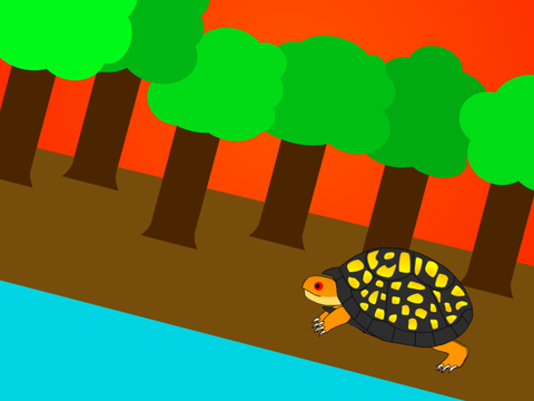 Wilderness Animation