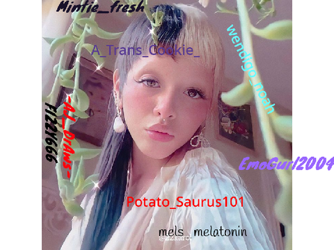 Sign if you like Melanie Martinez! (remix’s) remix remix remix remix