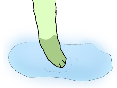 Animation
