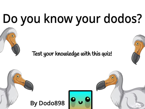 Dodo Quiz