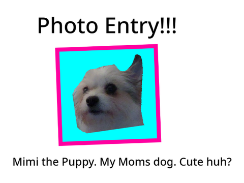 ❤️Photo contest❤️Entry!❤️