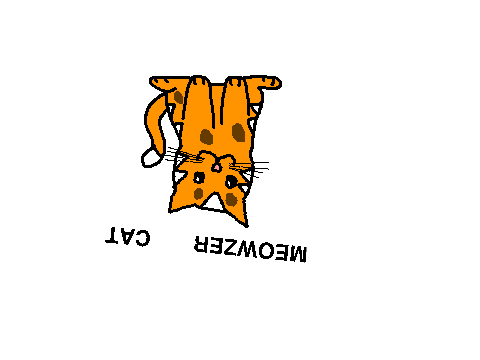 Meowzer Cat