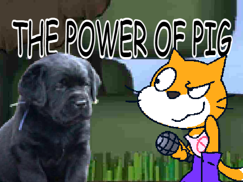 AYS: THE POWER OF PIG