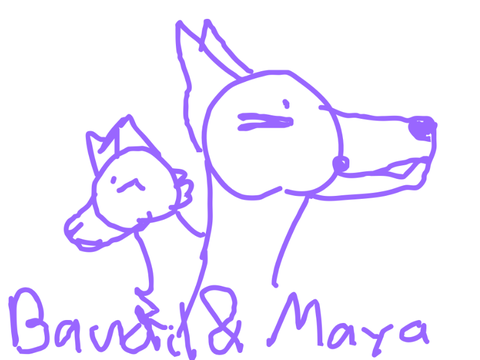 Bandit and Maya Lines