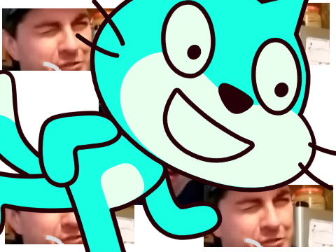 Spinning Scratch Cat