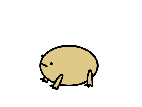Desert Rain Frog <3