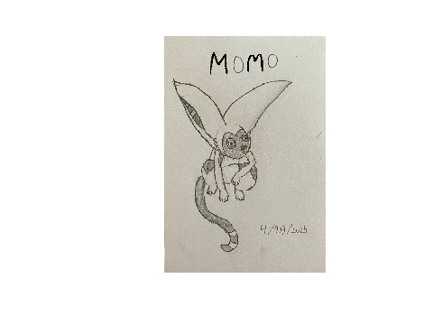 Momo from ATLA