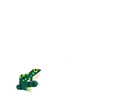 Little frog