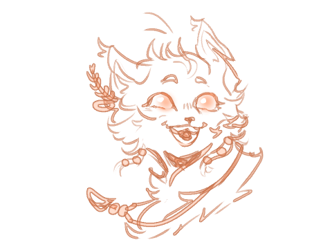 pip new accessory