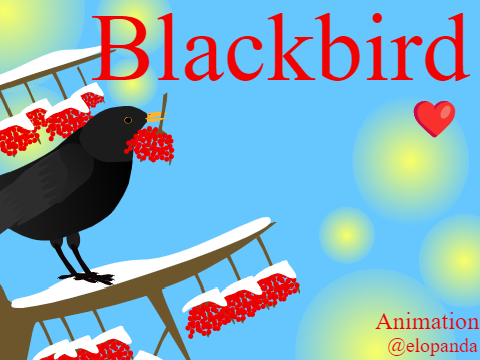BlackBird ‖ Animation