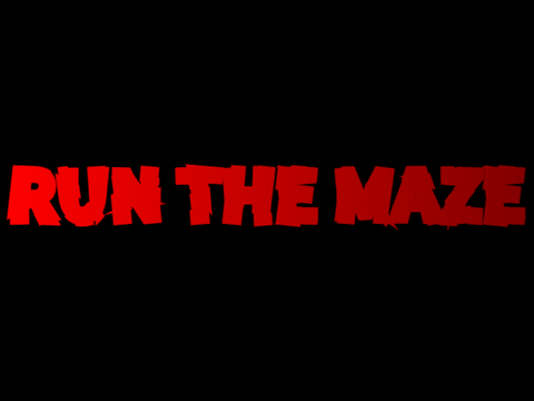 RUN THE MAZE