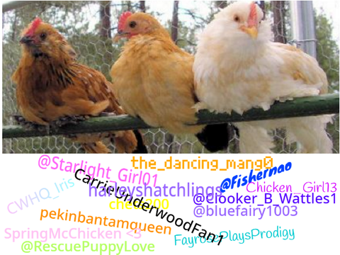 Sign if you love chickens (5th remix) remix remix remix remix remix remix