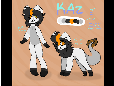 Kaz ref 2016