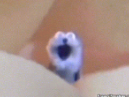 screaming blue guy remix