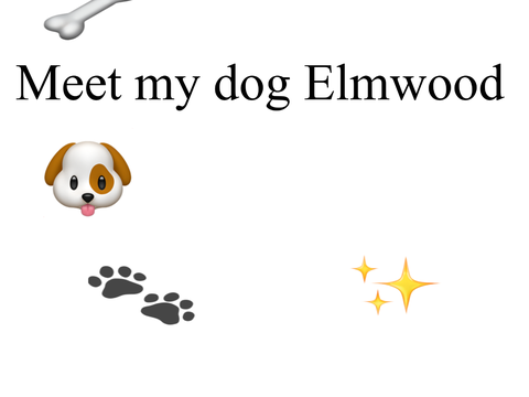 Meet my dog Elmwood