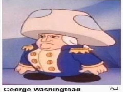 GEORGE WASHINGTOAD APPRECIATION POST