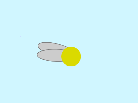 golden snitch flying