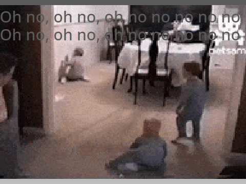 Toddlers vs animals