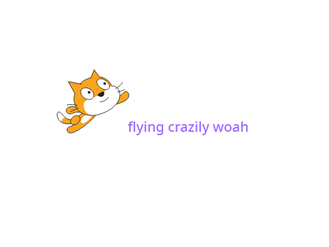 FLY