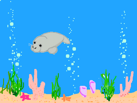 manatee