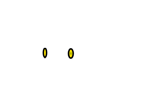 Coin animations