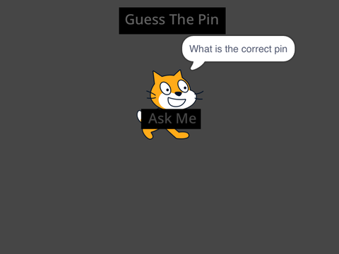 Guess The Pin Replica