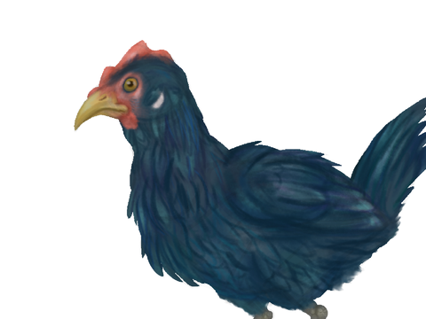 Anybody hungry? Have some chicken!
