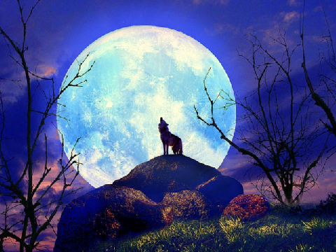 Moonlight (song)