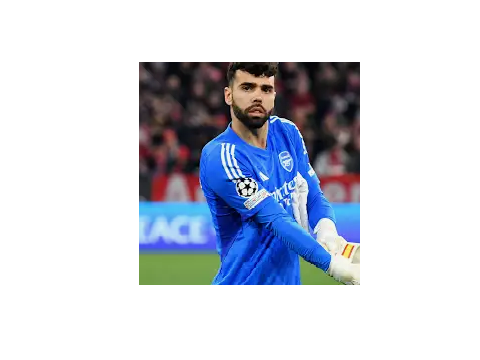 DAVID RAYA WINS GOLDEN GLOVE AWARD!