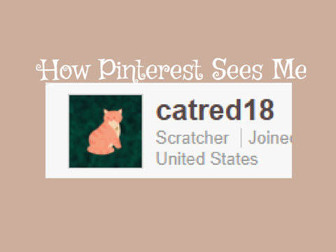 How Pintrest Sees Me
