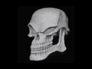 Skeletons being the best