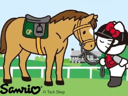 sanrio tack shop idea ♥