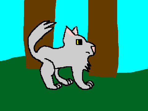 Rainpaw