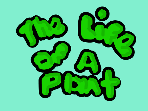a day in the life of a potted plant