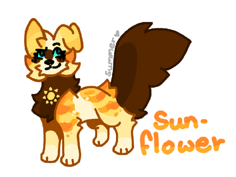 ☀ Sun in the meadows ☀ A Sunflower Application ☀