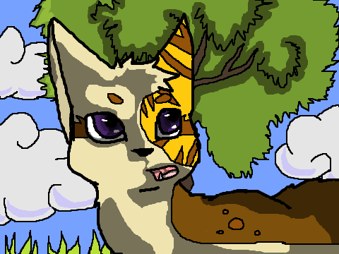 WARRIOR CAT CONTEST!!(OPEN) 