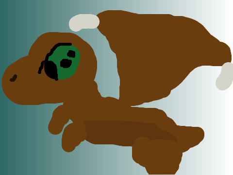 Hawk