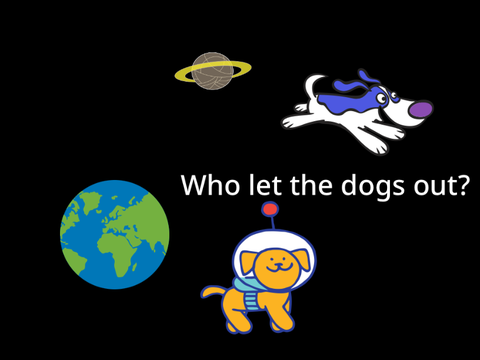 Who let the dogs OUT!?