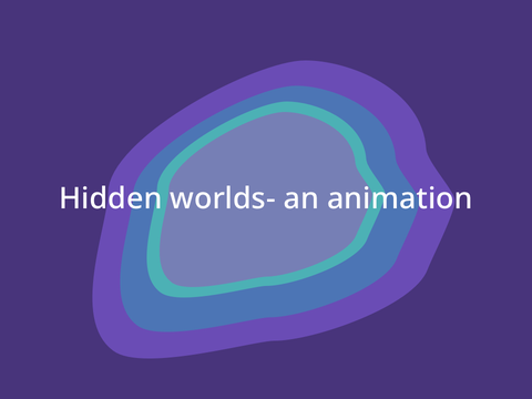 -Hidden worlds-