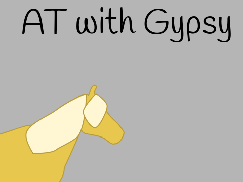 AT with @GypsyVannerJumper