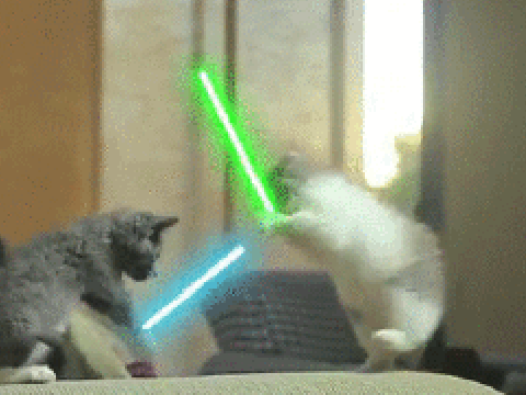Star-Cat 