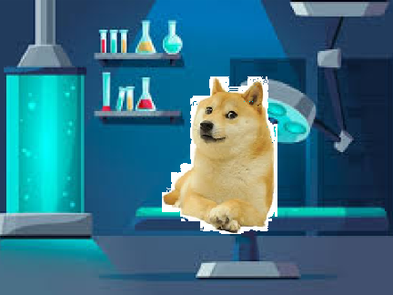 doge test lab