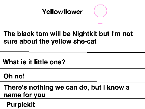 Purplewing's Prophecy Part 1  Lines