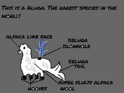 Aluga Field Guide