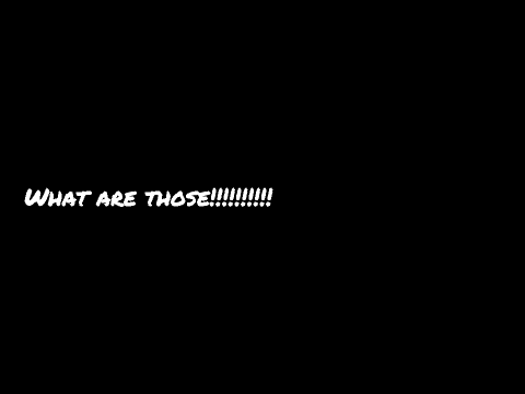 Funiest Mystery Joke