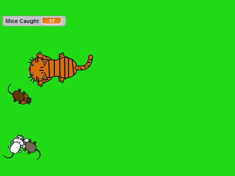 Warrior cats: Hunting Patrol