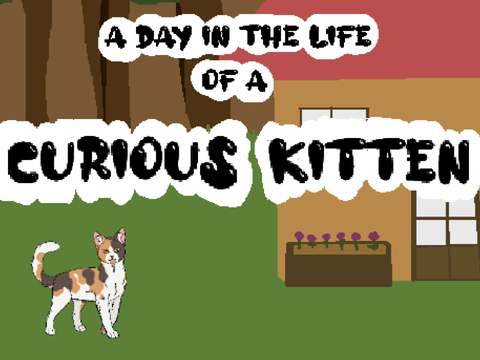 A Day in the Life of a Curious Kitten