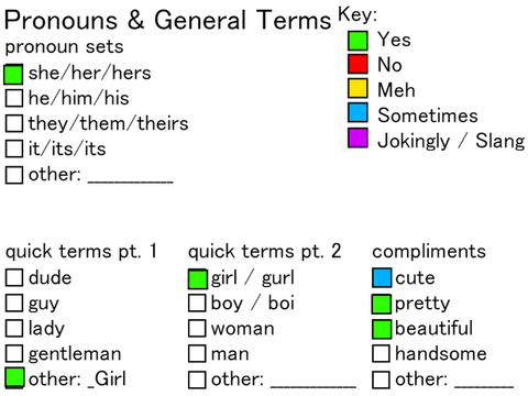 Terms & Pronouns Sheet